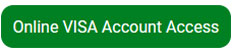 Online Visa Account Access